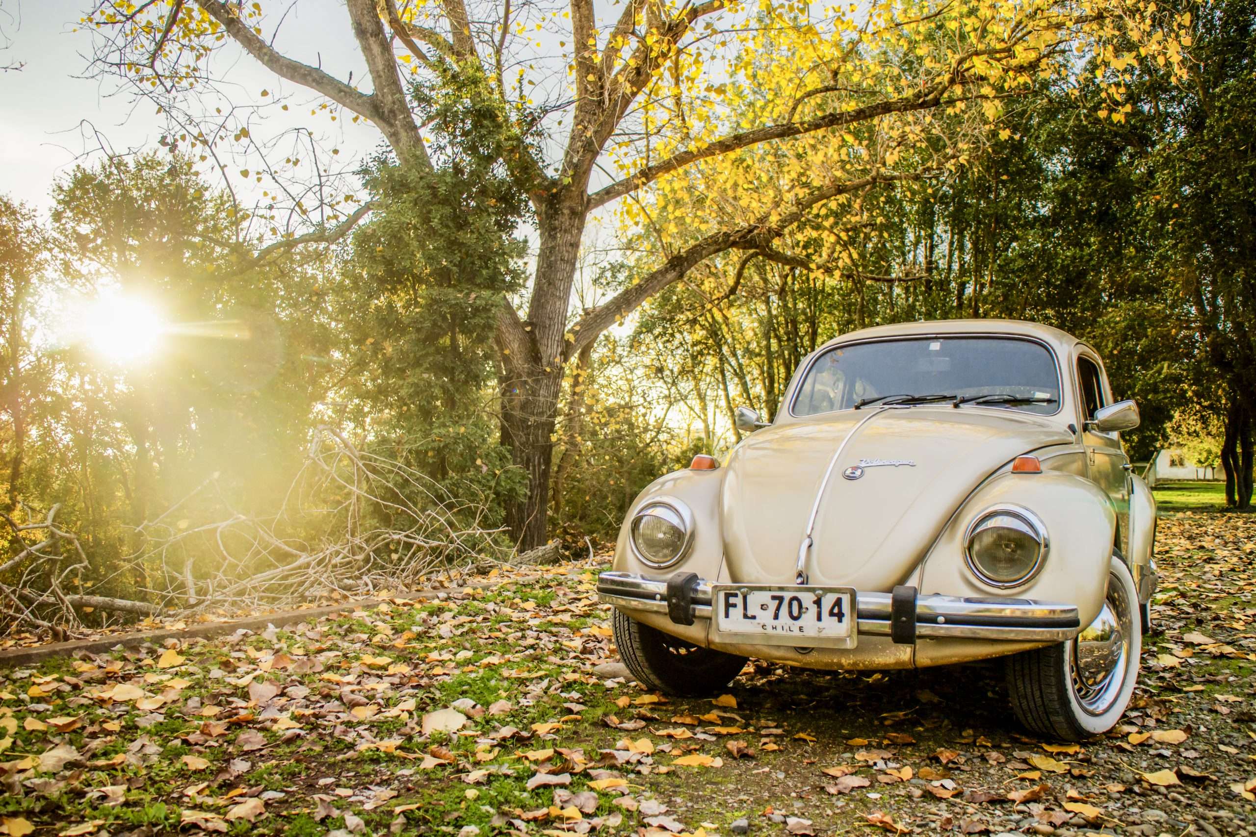 4 car rental secrets to getting a better deal